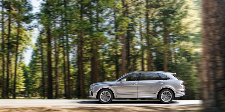 Exclusive Cars Vertriebs GmbH Bentley Bentayga Extended Wheelbase SUV in Moonbeam paint driving dynamically on a forest road